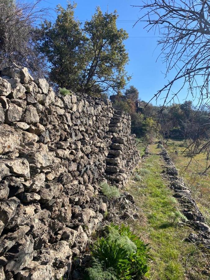 Villa Casina Dell'Etna Ragalna エクステリア 写真